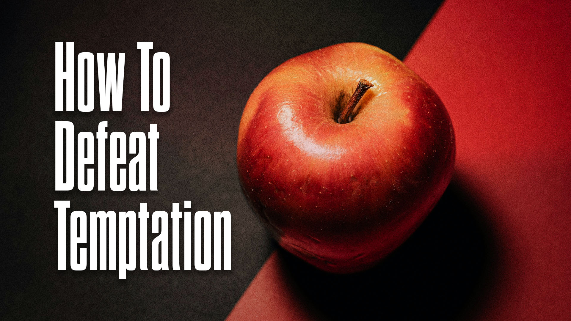 How to Defeat Temptation

Monday | 6:30 - 8:00pm
March 9 & 16
Meeting at Forge Christian High School
